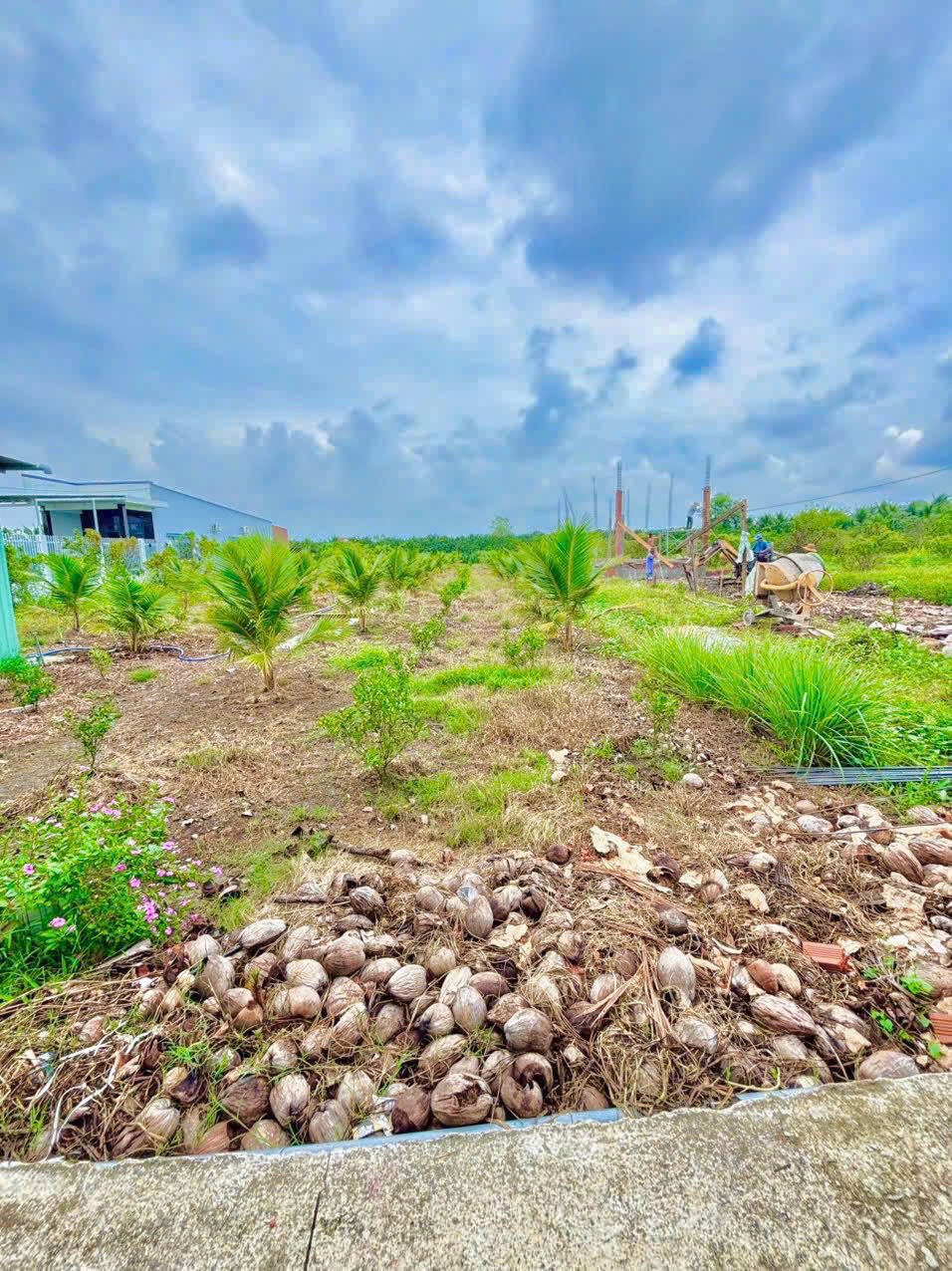 ban-dat-tien-giang-rong-dep-790m2
