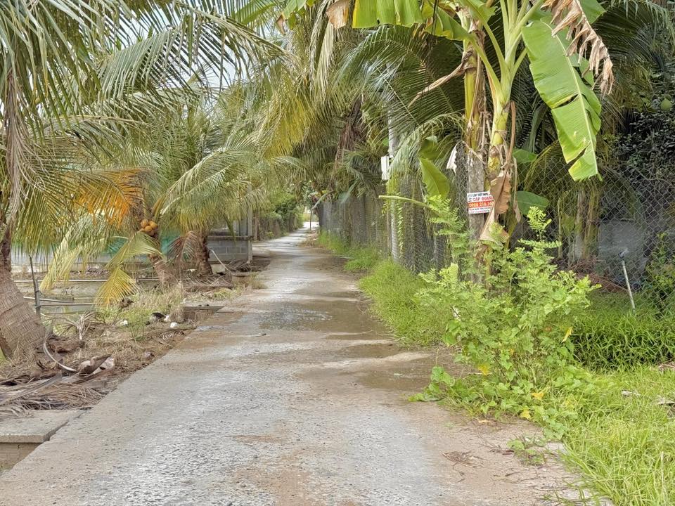 ban-lo-dat-dep-phuoc-thanh-my-tho-2-ty-400-trieu