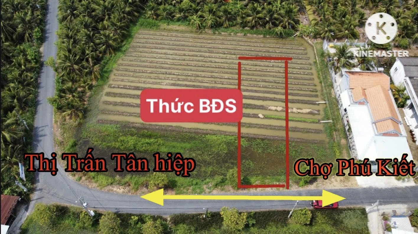 ban-dat-mat-tien-hoa-tinh-cho-gao-gia-re-1