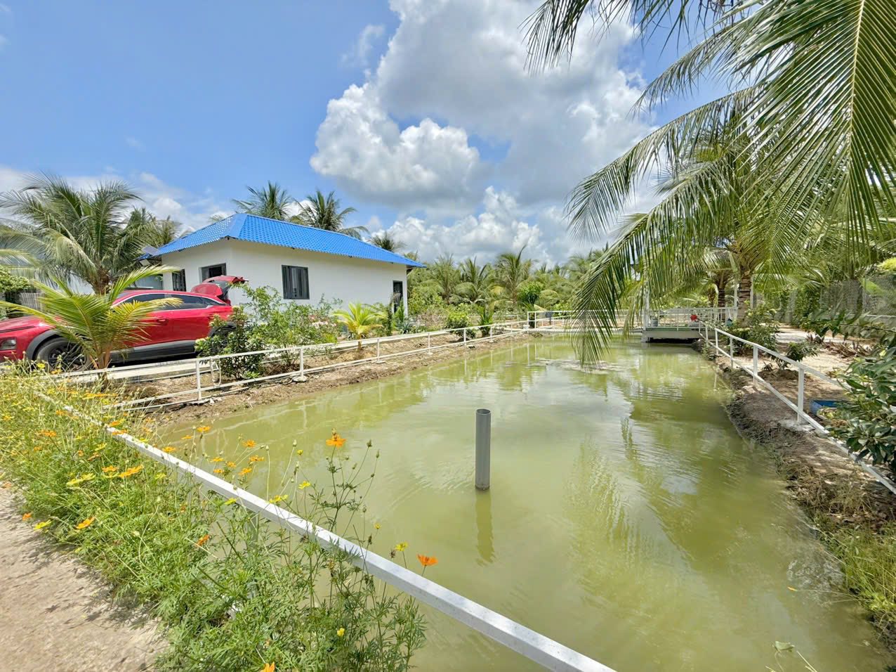 ban-nha-vuon-nghi-duong-binh-ninh-cho-gao